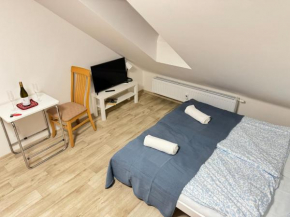 Stay In Centre, Brno